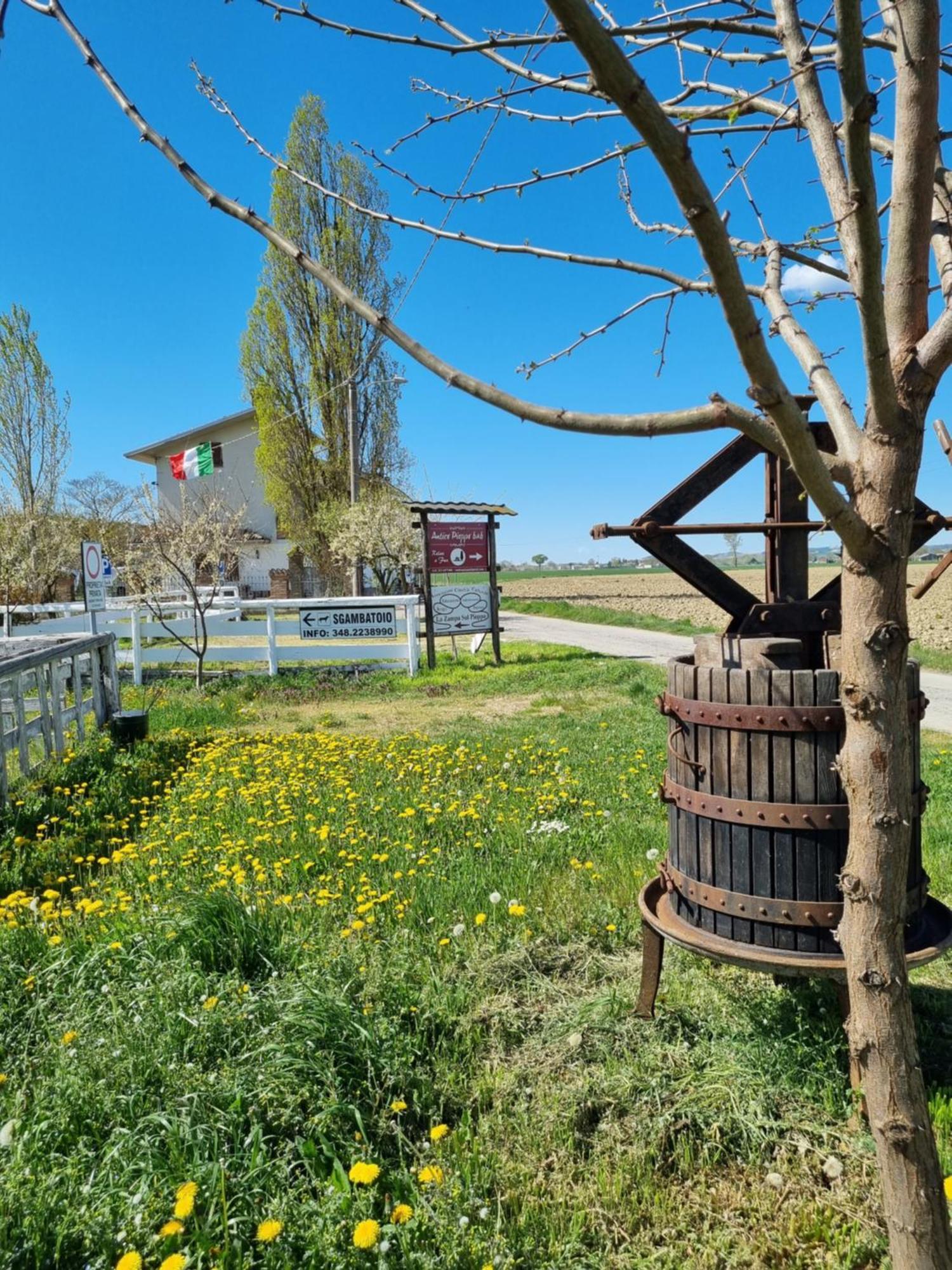 Bed and Breakfast Antico Pioppo Sale Exterior foto