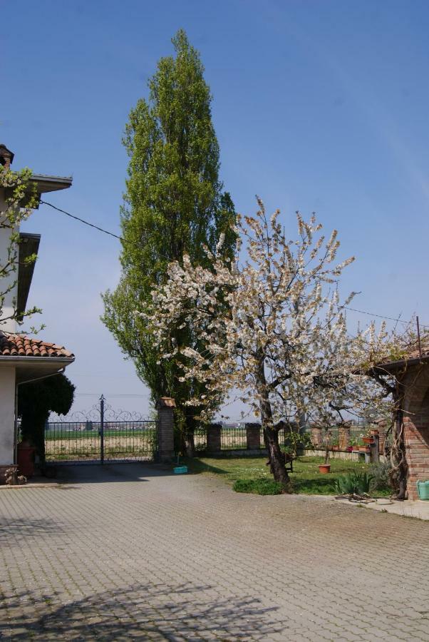 Bed and Breakfast Antico Pioppo Sale Exterior foto
